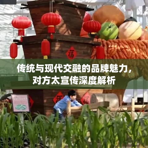 傳統(tǒng)與現(xiàn)代交融的品牌魅力，對(duì)方太宣傳深度解析