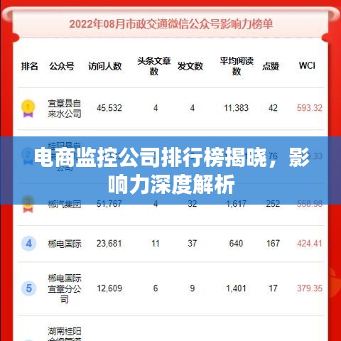 電商監(jiān)控公司排行榜揭曉,影響力深度解析