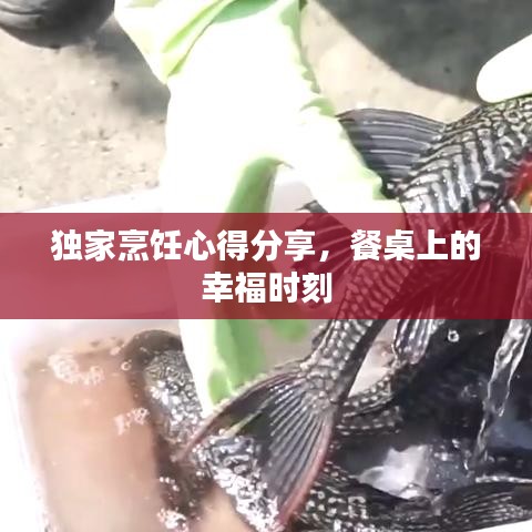 獨家烹飪心得分享,餐桌上的幸福時刻