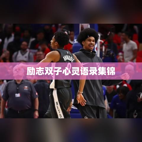 勵(lì)志雙子心靈語(yǔ)錄集錦