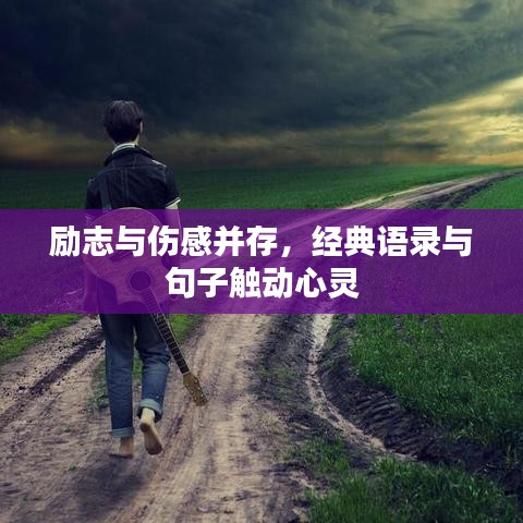 勵(lì)志與傷感并存,經(jīng)典語錄與句子觸動(dòng)心靈