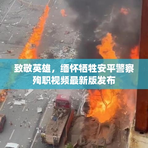 致敬英雄，緬懷犧牲安平警察殉職視頻最新版發(fā)布
