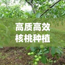沉魚落雁 第2頁
