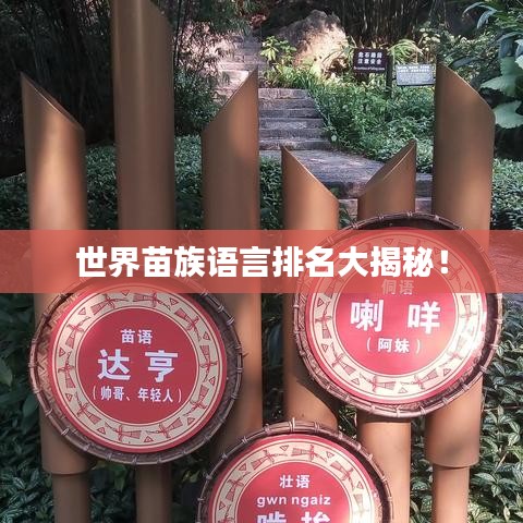 世界苗族語言排名大揭秘!