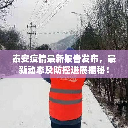 泰安疫情最新報告發布，最新動態及防控進展揭秘！