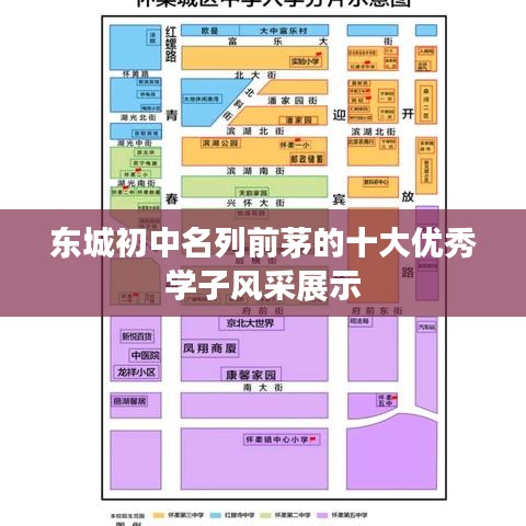 東城初中名列前茅的十大優(yōu)秀學(xué)子風(fēng)采展示