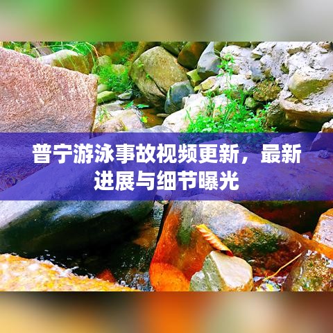 普寧游泳事故視頻更新,最新進展與細節曝光