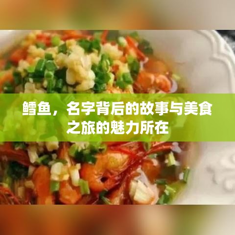 鱈魚,名字背后的故事與美食之旅的魅力所在