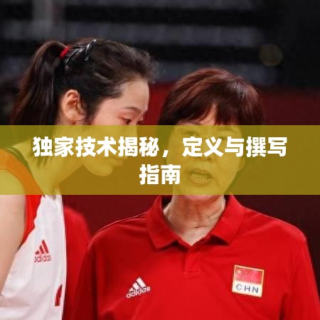獨(dú)家技術(shù)揭秘,定義與撰寫指南