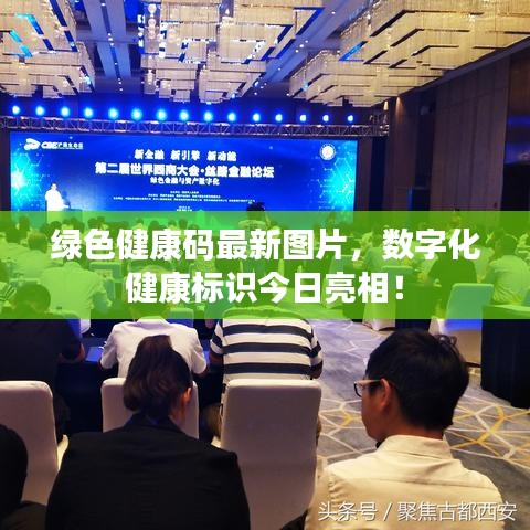 綠色健康碼最新圖片,數字化健康標識今日亮相!