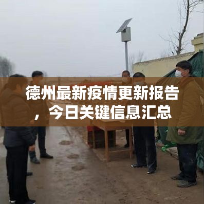 德州最新疫情更新報(bào)告,今日關(guān)鍵信息匯總