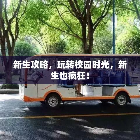 新生攻略,玩轉校園時光,新生也瘋狂!