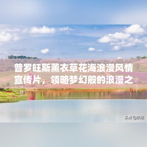 普羅旺斯薰衣草花海浪漫風情宣傳片,領略夢幻般的浪漫之旅!