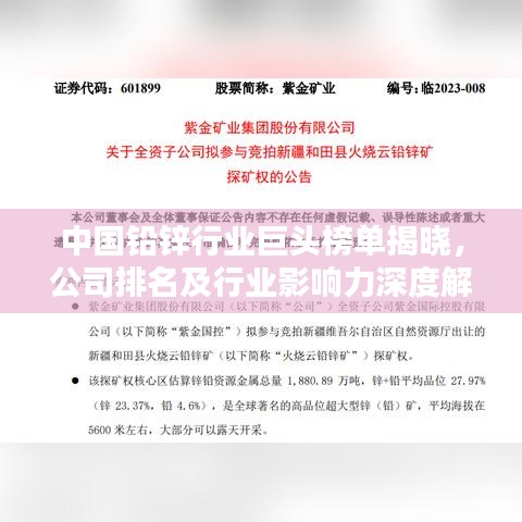 中國鉛鋅行業巨頭榜單揭曉,公司排名及行業影響力深度解析