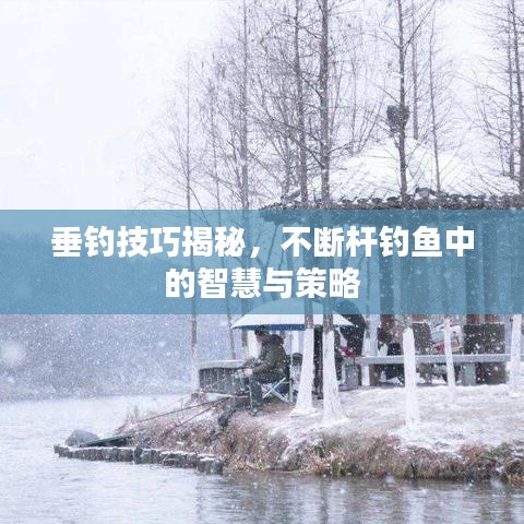 垂釣技巧揭秘,不斷桿釣魚中的智慧與策略