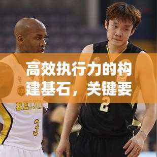 高效執行力的構建基石,關鍵要素與策略實施