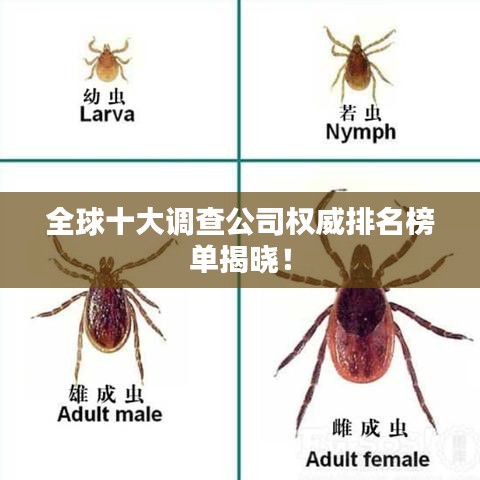 全球十大調查公司權威排名榜單揭曉!