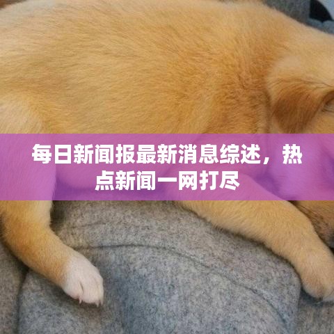 每日新聞報最新消息綜述,熱點新聞一網打盡